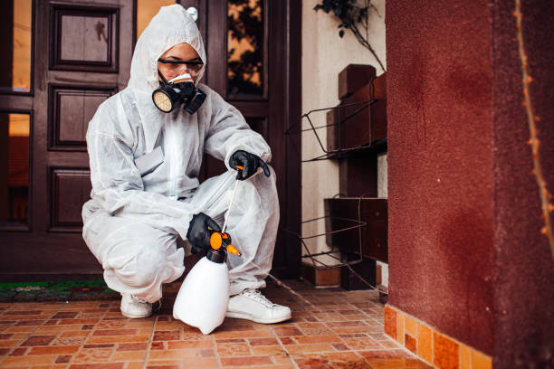 Attic and Crawl Space Rodent Treatment in Fowler